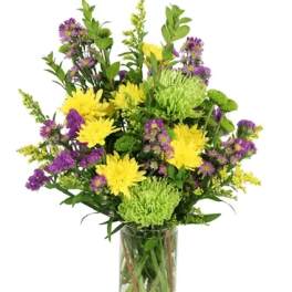 Cheerful Jubilee