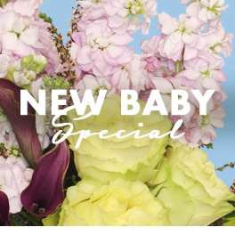 New Baby Special Designer's Choice