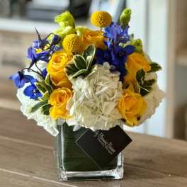 Bluebell - FB