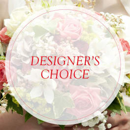 Designer's Choice - $80