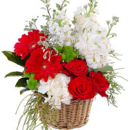Crimson & Ivory Basket Arrangement