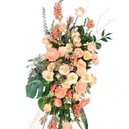 Peach Compassion Standing Spray