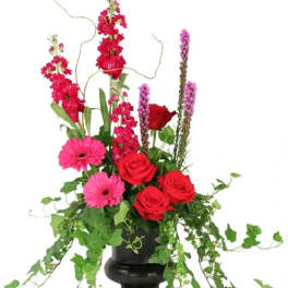 Peaceful Adornment Flowering Plants