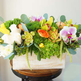 Creative Garden