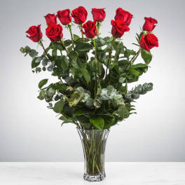 Beautiful Long-Stemmed Red Roses by BloomNation™