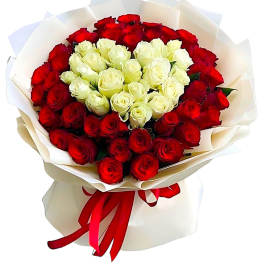 Bouquet of red and white roses wrapped in cream paper with a red ribbon
