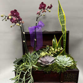 Succulent arrangement in a wooden chest with purple orchids and a ribbon