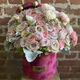 Amalfi - Santa Clarita Valley Florist