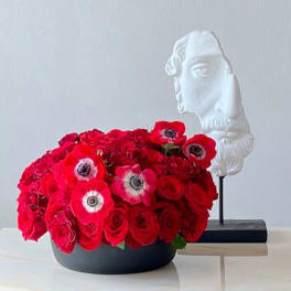 Red rose arrangement with anemones in a black container beside a white bust sculpture