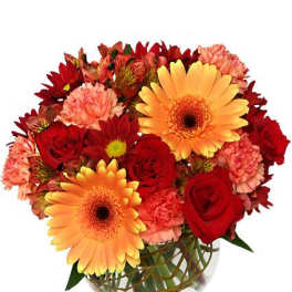 Hot & Spicy Vase of Flowers