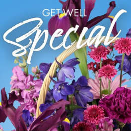 Get Well Special Florals Designer's Choice
