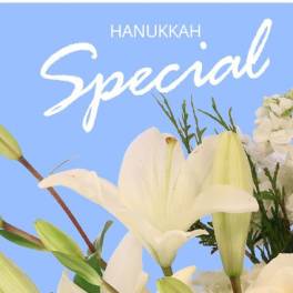 Hanukkah Special Designer's Choice