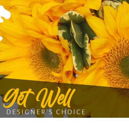 Get Well Bouquet Designer's Choice