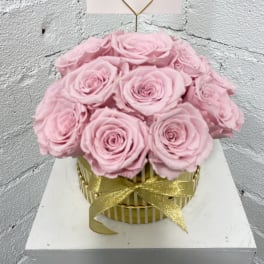 17 Forever Lasting Natural Roses