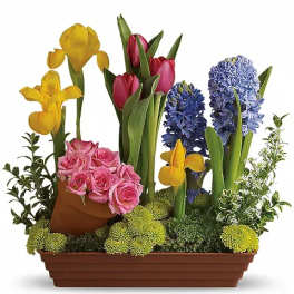 Spring Favorites
