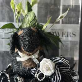 Black dog-shaped floral arrangement with white blooms and striped ribbon