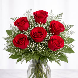 Six red roses in a clear glass vase with baby's breath