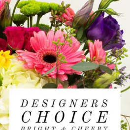 Designer's Choice Arrangement