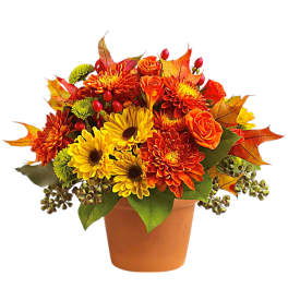Orange and yellow flowers arranged in a terracotta pot