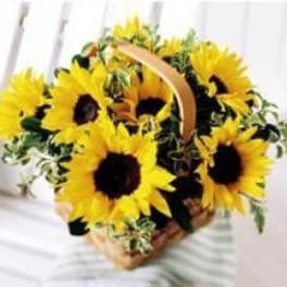 Basket of bright yellow sunflowers with a curved handle