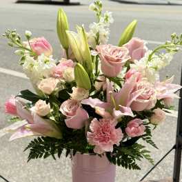 The Sweet Stassi