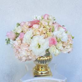 Floral Dreams