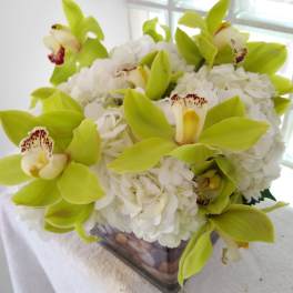 White hydrangeas with lime green orchids in a square glass vase