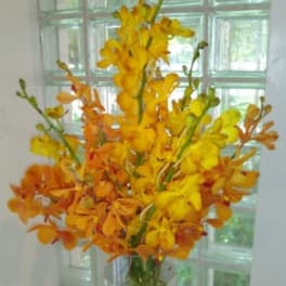 Tall yellow and orange orchid arrangement in a clear glass vase