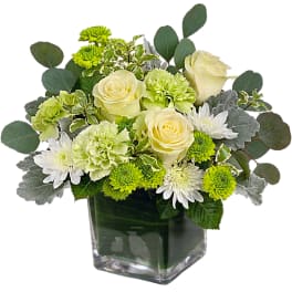Cream roses and green-white mums in a square glass vase