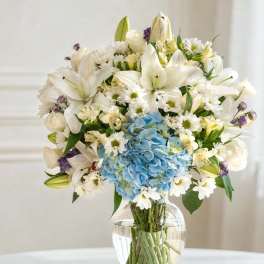A serene and elegant vase