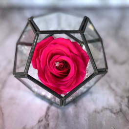 Everlasting Mini ! (Single One Year Rose In Octagon Case) - Hot Pink