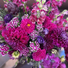 Bouquet of bright pink and purple flowers with mixed textures