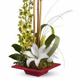 Modern arrangement with white lilies, green orchids, and bamboo in a low red dish