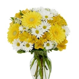 Yellow gerbera daisies and white daisies arranged in a clear glass vase.