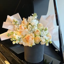 Peach fan