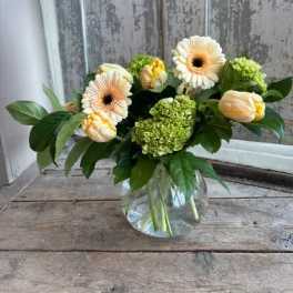 Peachy Spring