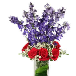 AMERICAN SPIRIT Arrangement