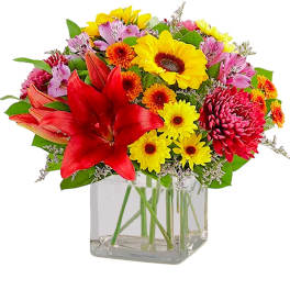 Bright mixed bouquet in a clear square vase with red lilies and yellow daisies