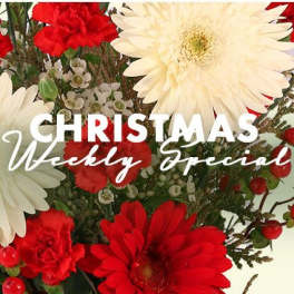 Christmas Arrangement Designer's Choice