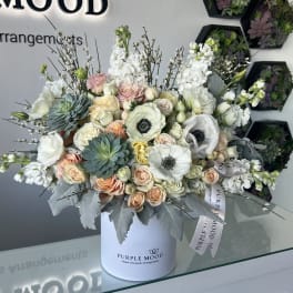 Peach Sorbet Box