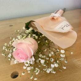 Single pink rose bouquet with baby's breath wrapped in pale peach paper