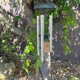 Wind chime hanging from a tree branch outdoors