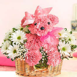 Princess Paws Poodle