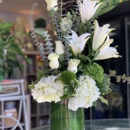 Fairfax's Botanical Beauty