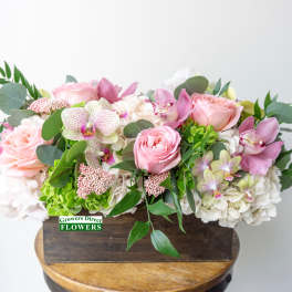 Blush Mix Box
