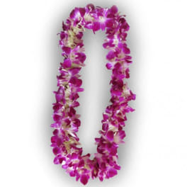 Purple orchid lei on a white background