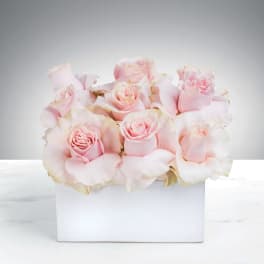 Pale pink roses arranged in a white rectangular box