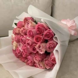 Pink Roses