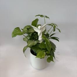 Potted green houseplant with a white angel figurine in a white container