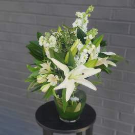 White Lilly